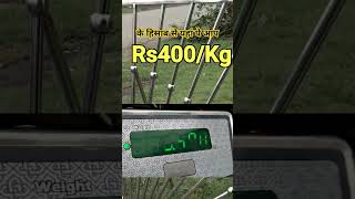 Download lagu Stainless steel window grill price per kg mp3
