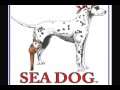 El Perro Del Mar - Dog.mpg