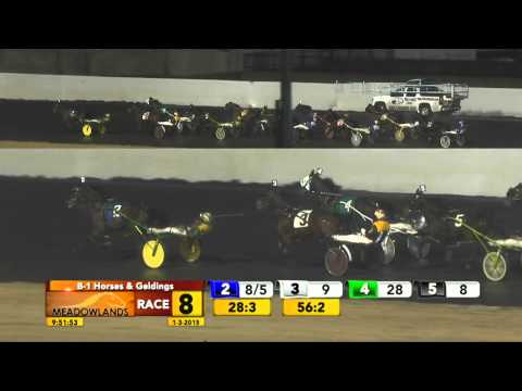 Meadowlands January 3, 2015 - Race 8 - Odds On Equuleus