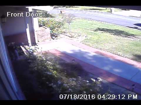 Hacienda Heights - Package Theft