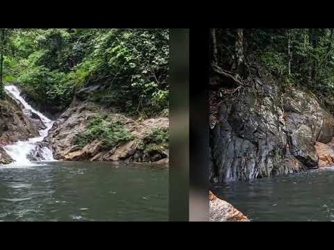 DARA KUMANG MENUA, ( Tamang Raja Charles ) 