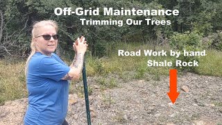 While Maintaining Our Off-Grid Land Surprise Visitors Show Up !