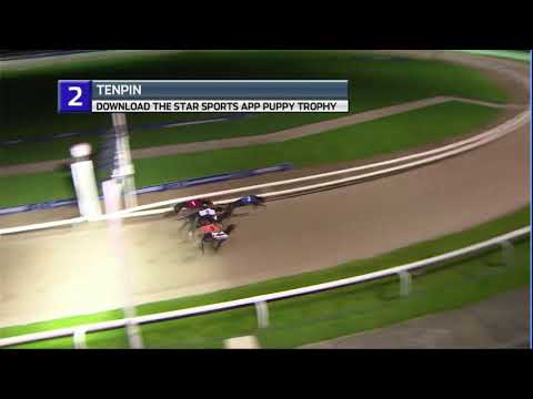 2020 PUPPY TROPHY - T2 TENPIN
