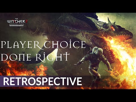 The Witcher 2: Assassins of Kings Critique (& Story Commentary)