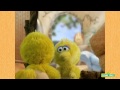 Who S That Baby In The Mirror