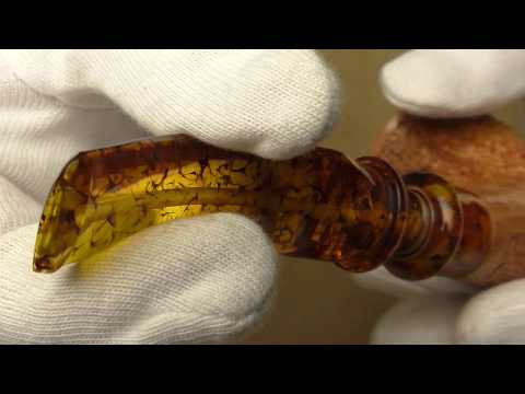 Ser Jacopo Delecta Spongia R2 C - pipe 1028