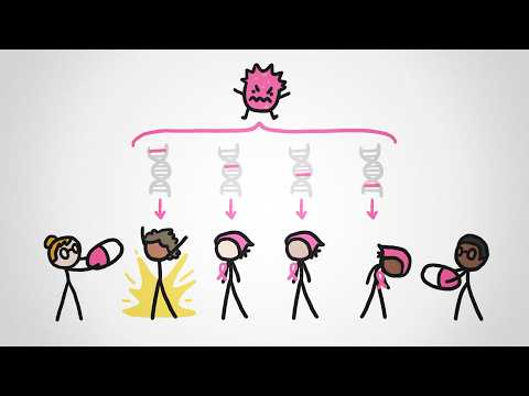 Why Haven't We Cured Cancer?