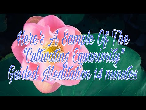 Here’s A Sample Of The “Cultivating Equanimity” Guided Meditation 14 minutes