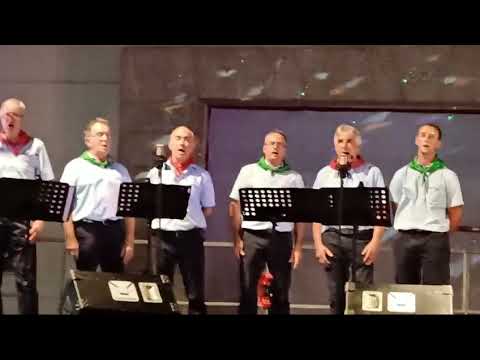 OZENKI  MUSIKAREN GAITZA