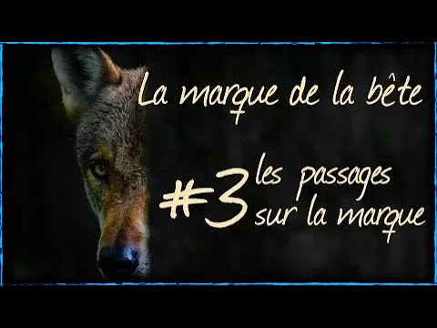 download lagu mp3 mp4 Marque De La Bete Bible, download lagu Marque De La Bete Bible gratis, unduh video klip Marque De La Bete Bible