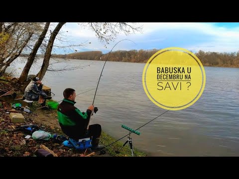 SAVA U DECEMBRU - BELA RIBA LEPO RADI