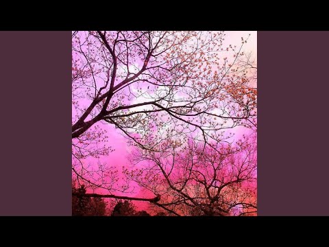 No One Knows (feat. Hidden Jayeem)