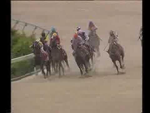 「澳門賽馬」澳門沙地王大賽[Macau Racing] Macau Star of the Sand Stakes
