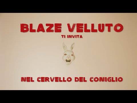 The Rabbit Song - The Blaze Velluto Collection