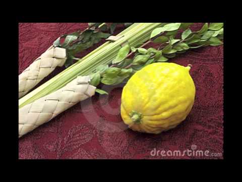 Etrog Growing in Texas