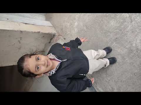 Anshika's dog friend