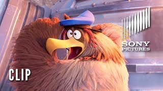 THE ANGRY BIRDS MOVIE 2 Clip - Dance-Off