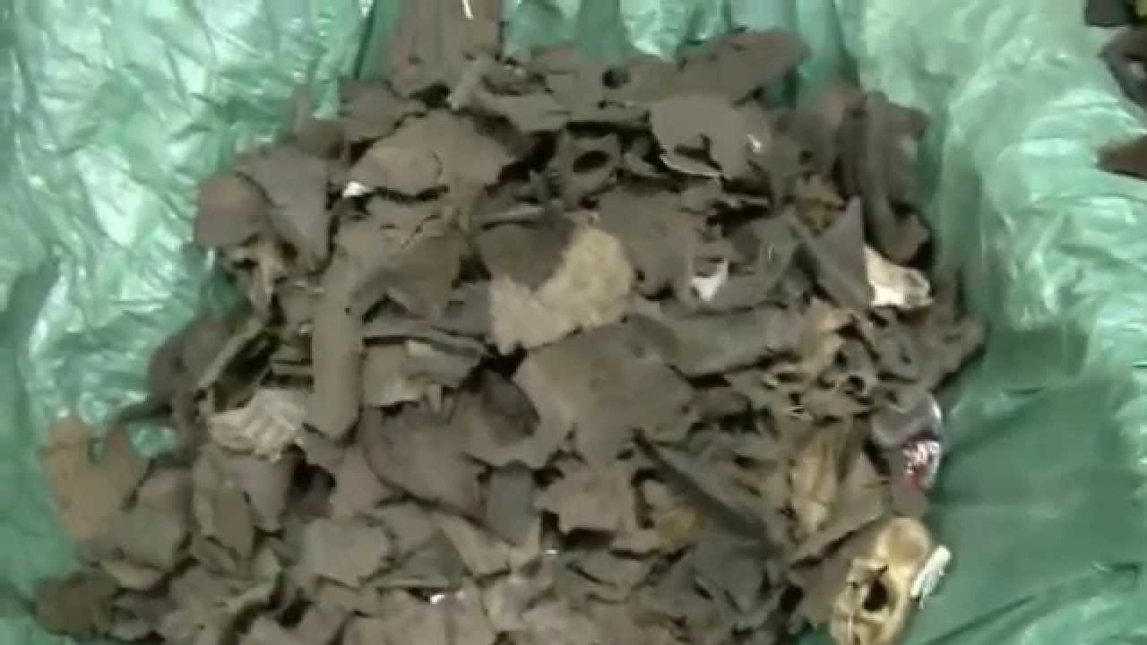 Green Eye® Optical Sorter  Separating Black Plastic