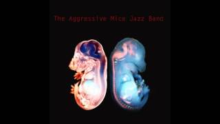 The Aggressive Mice Jazz Band