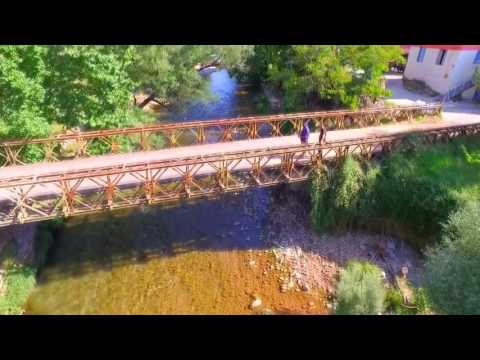 foloi oak forest final