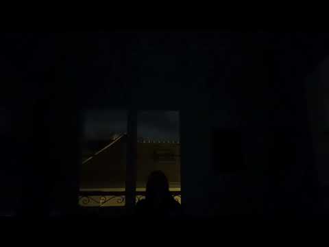 WILDFLOWER (Billie Eilish) - Cover by AnonyMuse