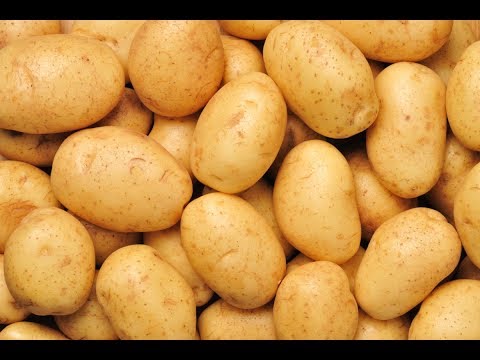 शुगर के मरीज के लिए आलू कैसे बनाएं  How to Make Potatoes for Sugar Patients