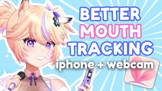 BETTER Mouth Tracking in VTube Studio (iPhone 10+ AND Webcam!) thumbnail