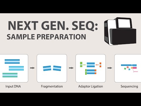 2) Next Generation Sequencing (NGS) - Sample Preparation Video