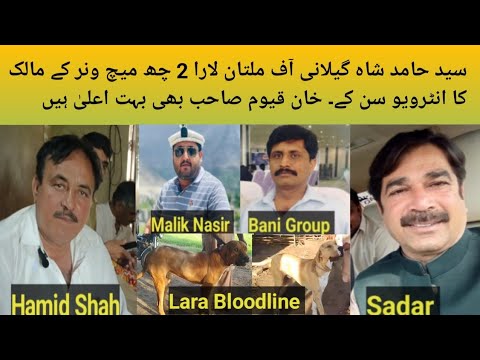 Pakistani Top Class Bully Breed Dog Name Lara Owner Syed Hamid Shah Gillani Off Multan Pak Awan Grp