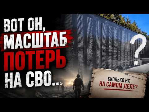 Вот он, масштаб потерь на СВО