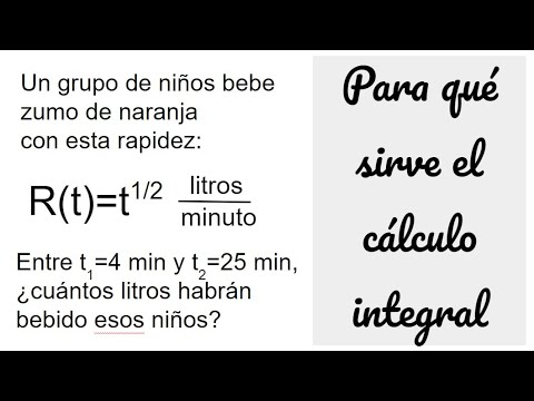 EJEMPLO DE APLICACIÓN DE CÁLCULO INTEGRAL. Introducción al Cálculo