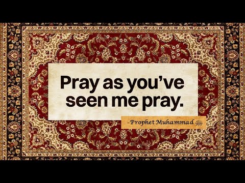 Shaikh Al Albani's Mukhtasar Sifah Salah An-Nabi ﷺ taught by Ustadh Abdulrahman Hassan #amau