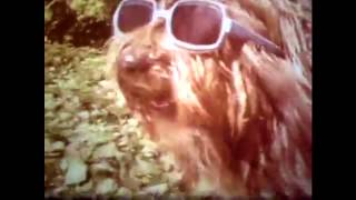 01 - Breeders - Little Fury