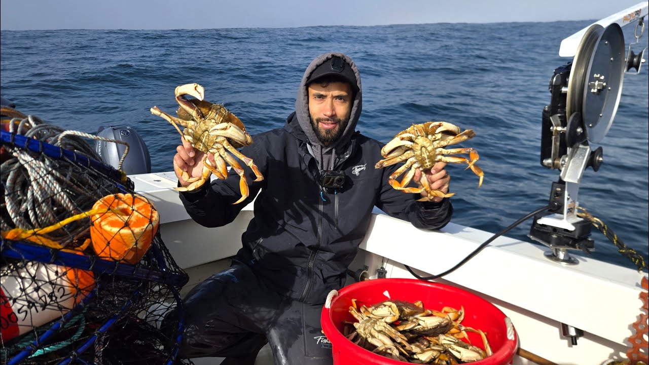 2025 - 2026 Dungeness Crab Season Opener Catch and Cook!