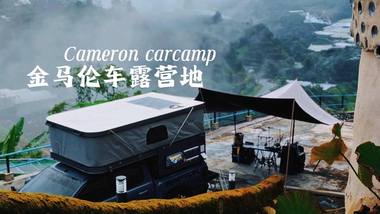 Cameron highland carcamp spot | #carcampwithmydog  #金马伦车露营地 #金马伦露营 #campertruck #blueberryearthhouse