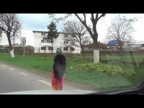 Costeşti Giurgeşti Rediu Dumbrăviţa Ruginoasa 28A Westmoldau Rumänien Romania 15.4.2016