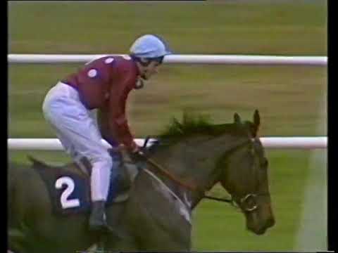 1990 Save & Prosper Mandarin H'cap Chase Party Politics