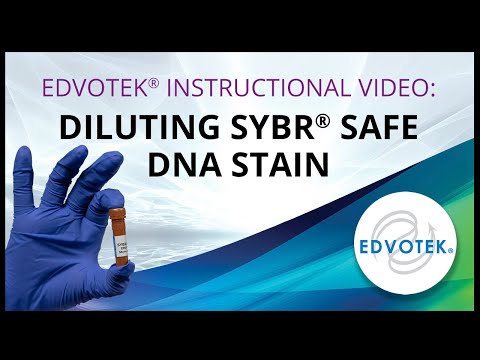 Edvotek Instructional Video: Diluting SYBR® Safe DNA Stain