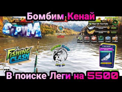 Фото Стрим - В Поиске Рекордов / Fishing Clash: Реальная рыбалка