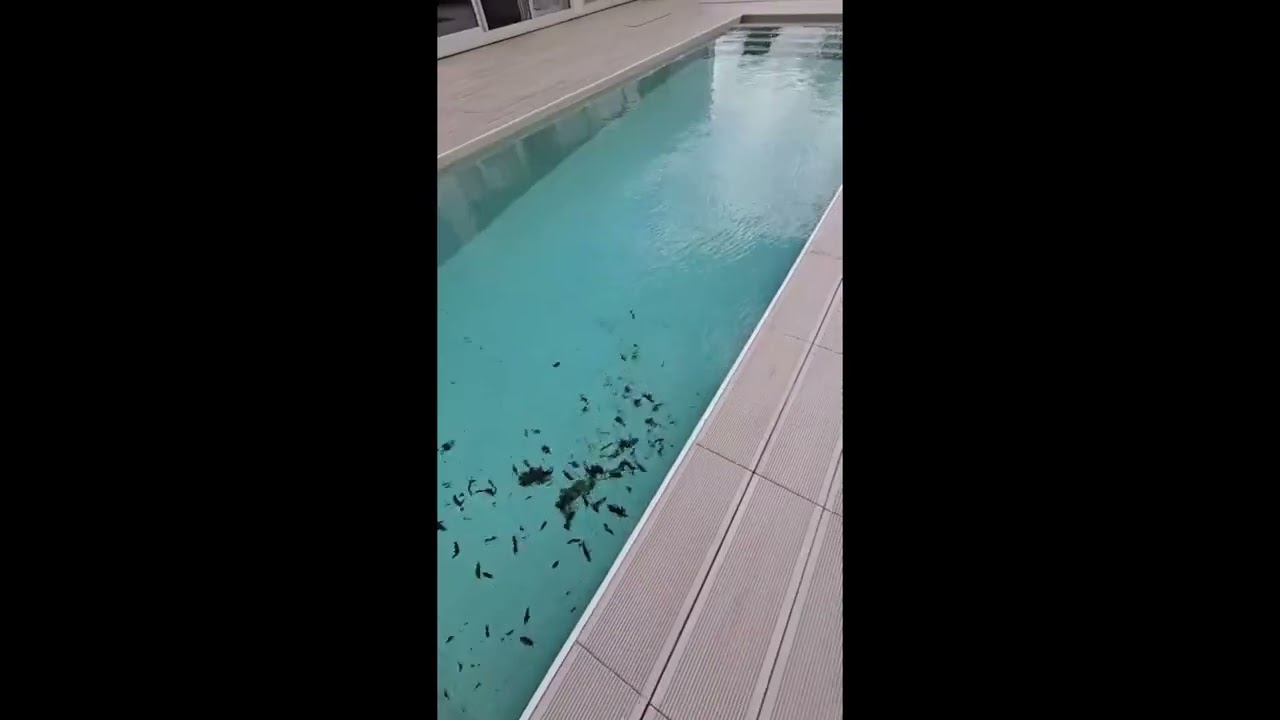 Vídeo do imóvel