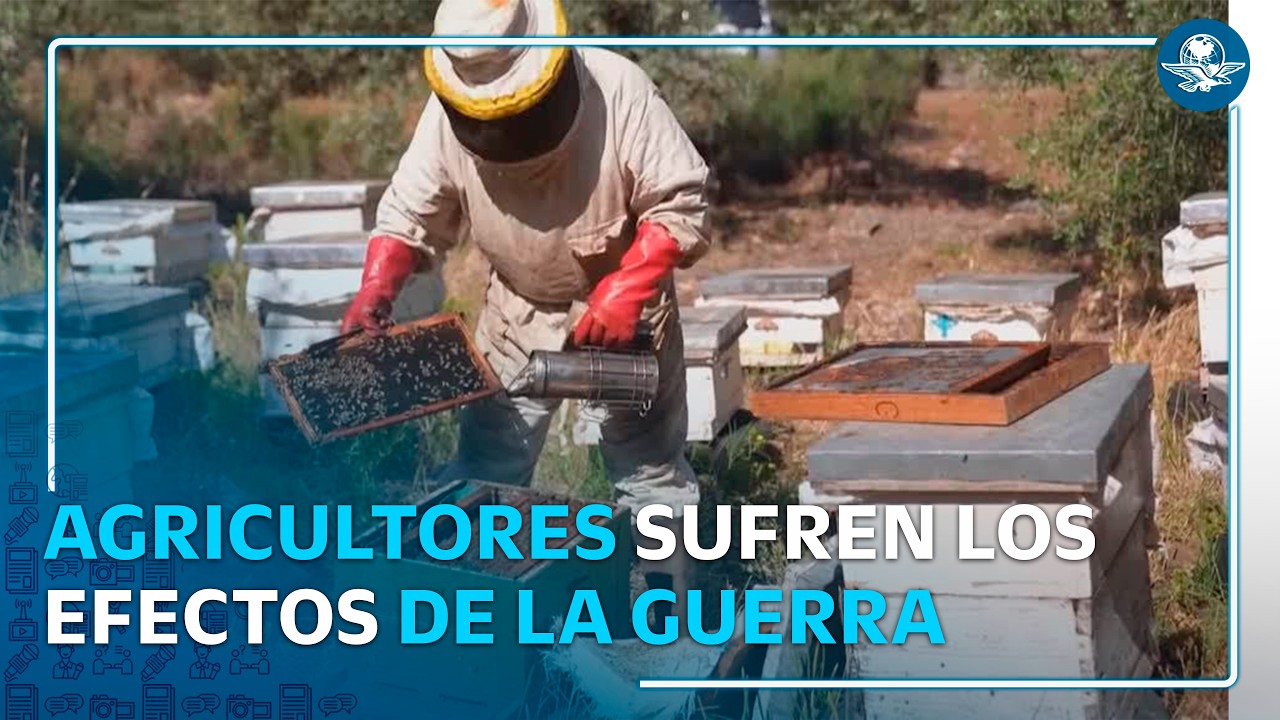 Guerra entre Israel y Líbano golpea a Agricultores