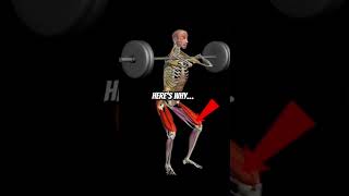 You Can NOT Isolate the VMO Muscle!