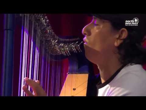 Edmar Castaneda Trio Live @ North Sea jazz 2016