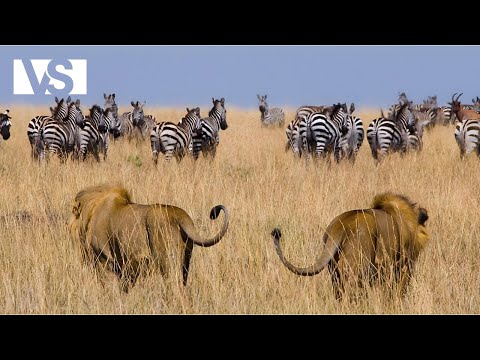 WILDER KANGA PAN | Überleben am Limit in der Letzten Oase Afrikas – Tierdokumentation