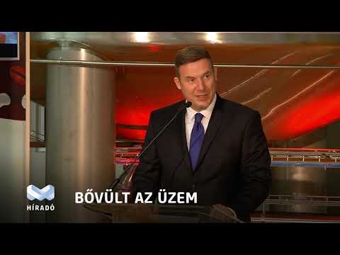 Videó előnézet