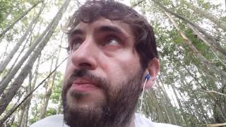 Greta Menchi abbiamo l'uomo giusto x te: il TASSI