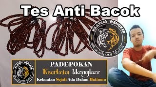 Download lagu Tes Bacok ( Cacah ) | Ksatria Wengker mp3