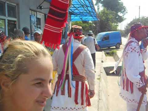 Osica de Sus: Calusul (3)