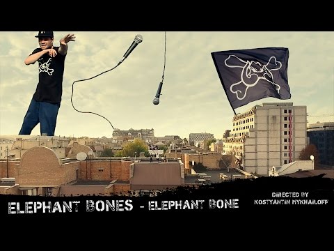 Elephant Bones - Elephant Bone