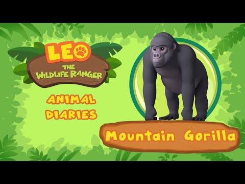 Witness21 Editor  2021 08 21